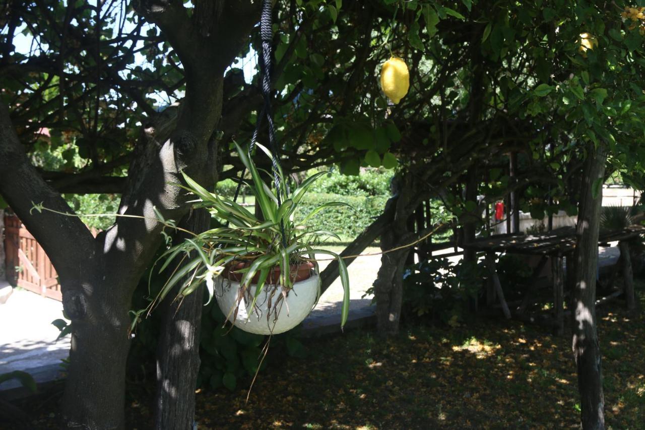 卡斯特拉玛雷帝斯达比亚Emy'S Country House公寓 外观 照片